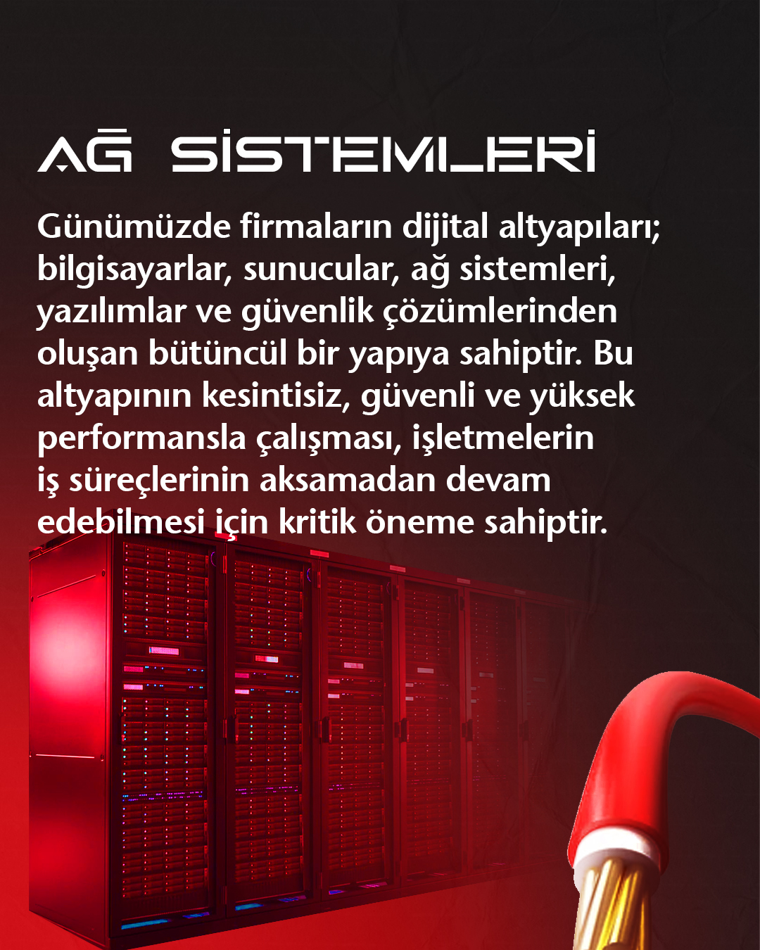 backlink paketleri