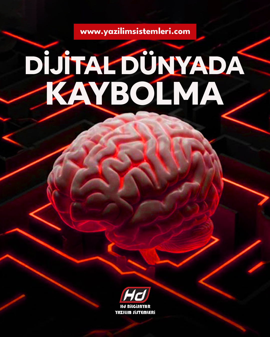 dijital pazarlama paketleri